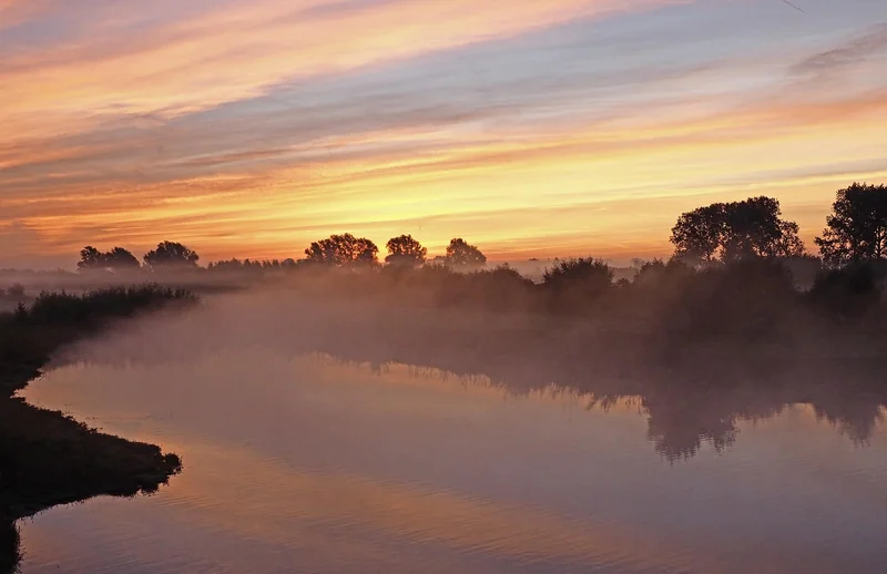 Druivenpluk in Gelderland